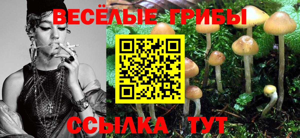 Псилоцибиновые грибы мухоморы Заводоуковск